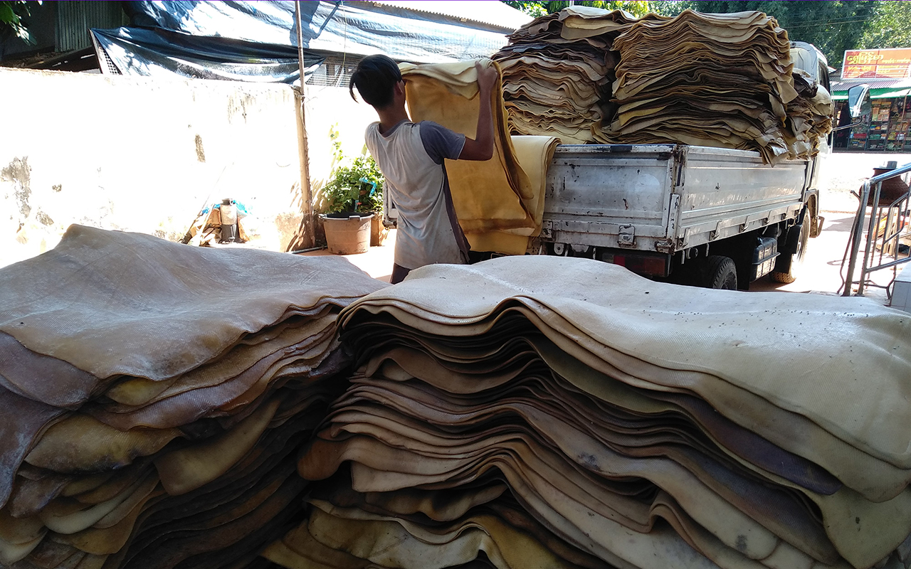 Hàng chục nghìn tấn 'vàng trắng' của Việt Nam được Indonesia tích cực săn lùng: diện tích trồng hơn 900.000 ha, nước ta là ông trùm top 5 thế giới - Ảnh 1