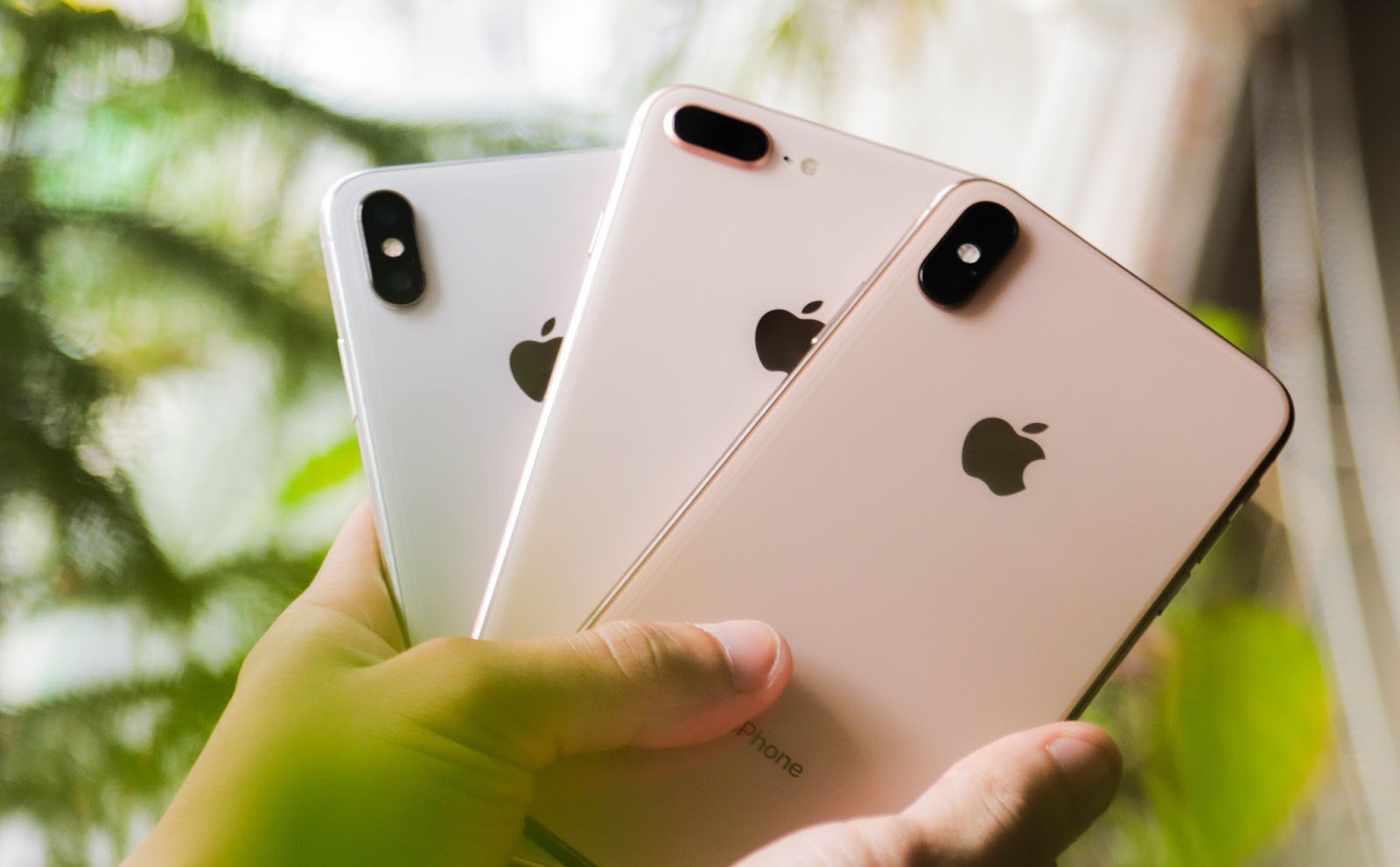 8 mẫu iPhone dù có rẻ đến đâu cũng không nên mua lúc này - Ảnh 1