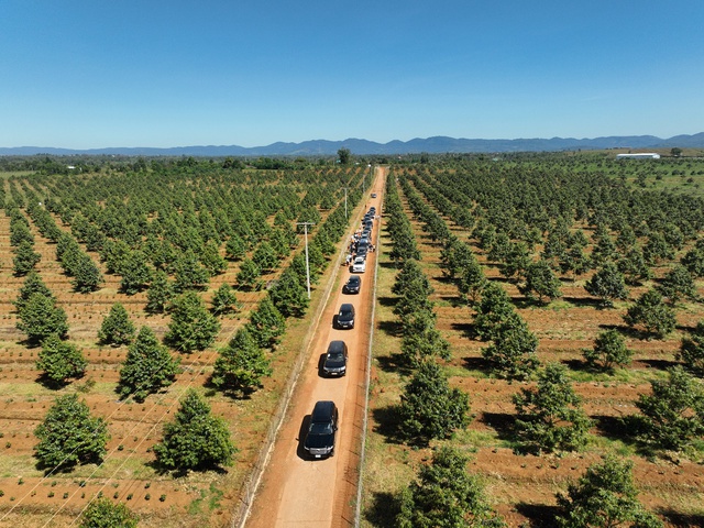 Sự trở lại của HAGL và dấu ấn “kiến trúc sư” OCBS trong bức tranh chiến lược mới - Ảnh 1