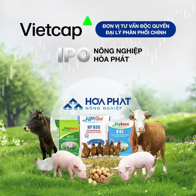 Nông nghiệp Hoà Phát (HPA): IPO 30 triệu cổ phiếu giá 41.900 đồng/cp - Ảnh 1