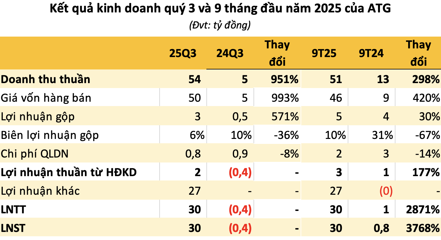Chuyện gì đây: Công ty chỉ 2 nhân viên báo lãi 9 tháng tăng đột biến 3.700% so với cùng kỳ - Ảnh 2