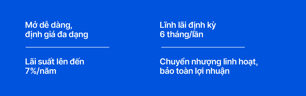 iDepo VIB – Sinh lời đến 7%/năm, chuyển nhượng linh hoạt khi cần - Ảnh 3