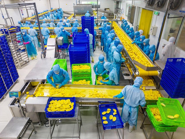 HOSE nhận hồ sơ niêm yết, Antesco tiến gần mục tiêu 300 triệu USD - Ảnh 3