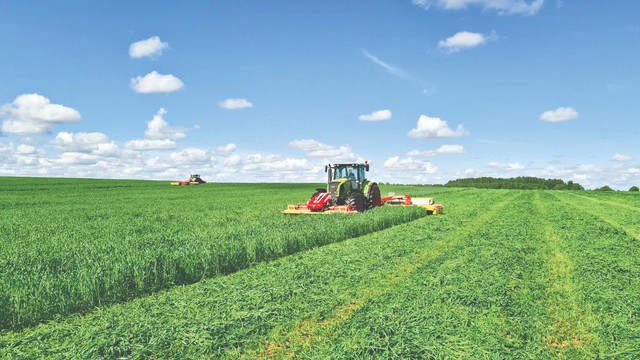 Tổng thống Putin: “Dự án của bà Thái Hương góp phần tăng cường hợp tác Việt-Nga” - Ảnh 4