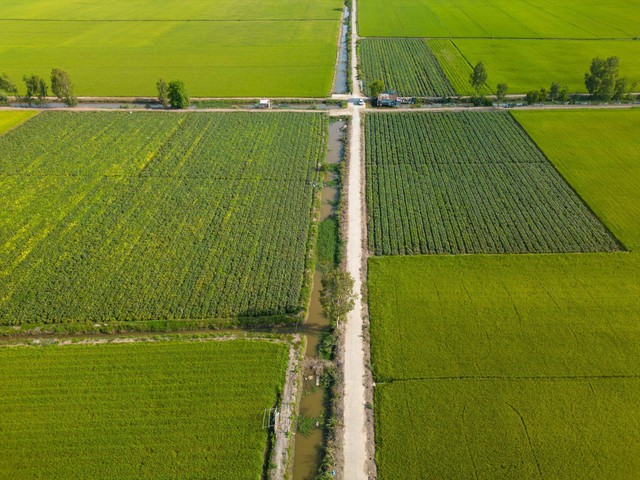 HOSE nhận hồ sơ niêm yết, Antesco tiến gần mục tiêu 300 triệu USD - Ảnh 4