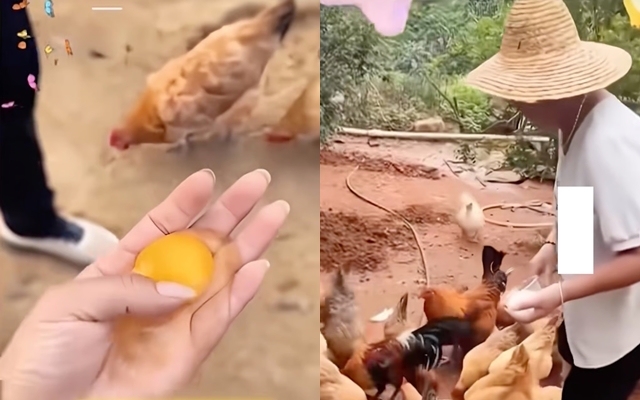 “Hồi sinh” người chết dậy bán trà, nhà vô địch Olympic đi bán trứng gà: Nhiều người "sập bẫy" - Ảnh 4