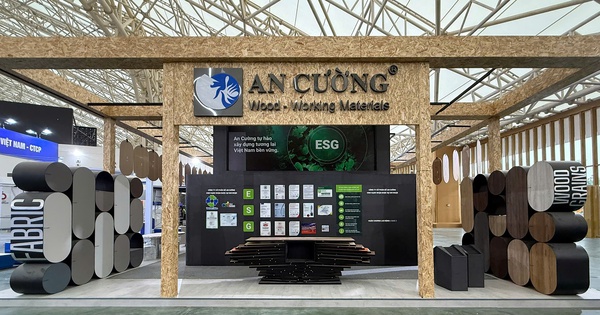 An Cường tiếp tục đón nhận thành quả từ khoản đầu tư chiến lược vào Thắng Lợi