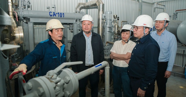 BSR đẩy nhanh tiến độ nghiên cứu nhiên liệu dầu diesel sinh học