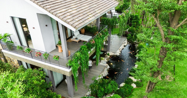 Nhà dưới tán rừng của Ecopark: Xóa nhòa ranh giới giữa tiện nghi và sinh thái