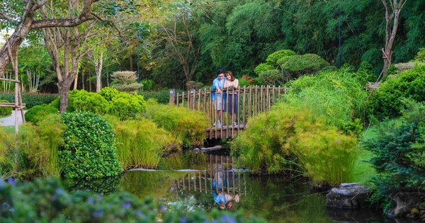 Cách Solaria Rise chinh phục thế hệ an cư mới lẫn giới đầu tư