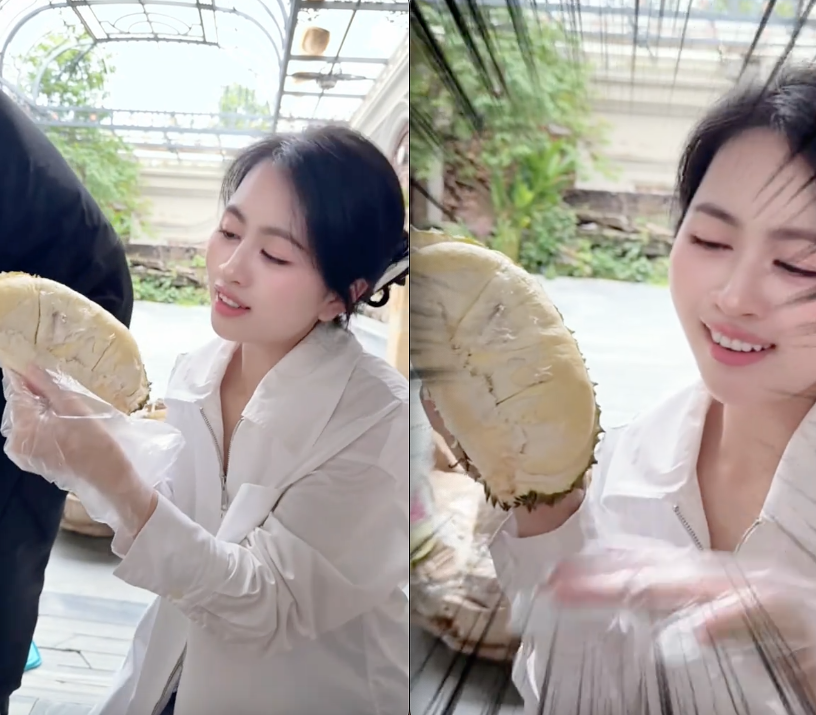 Số phận vườn sầu riêng nhà Mailisa - Ảnh 1