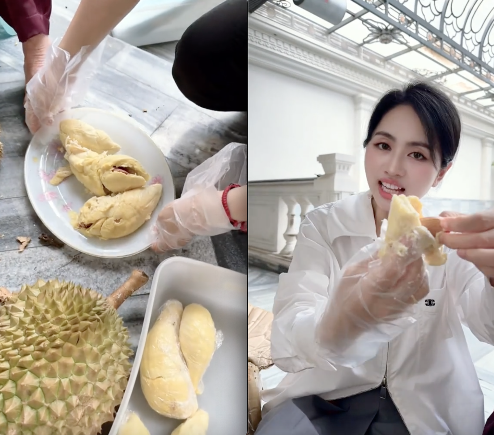 Số phận vườn sầu riêng nhà Mailisa - Ảnh 3