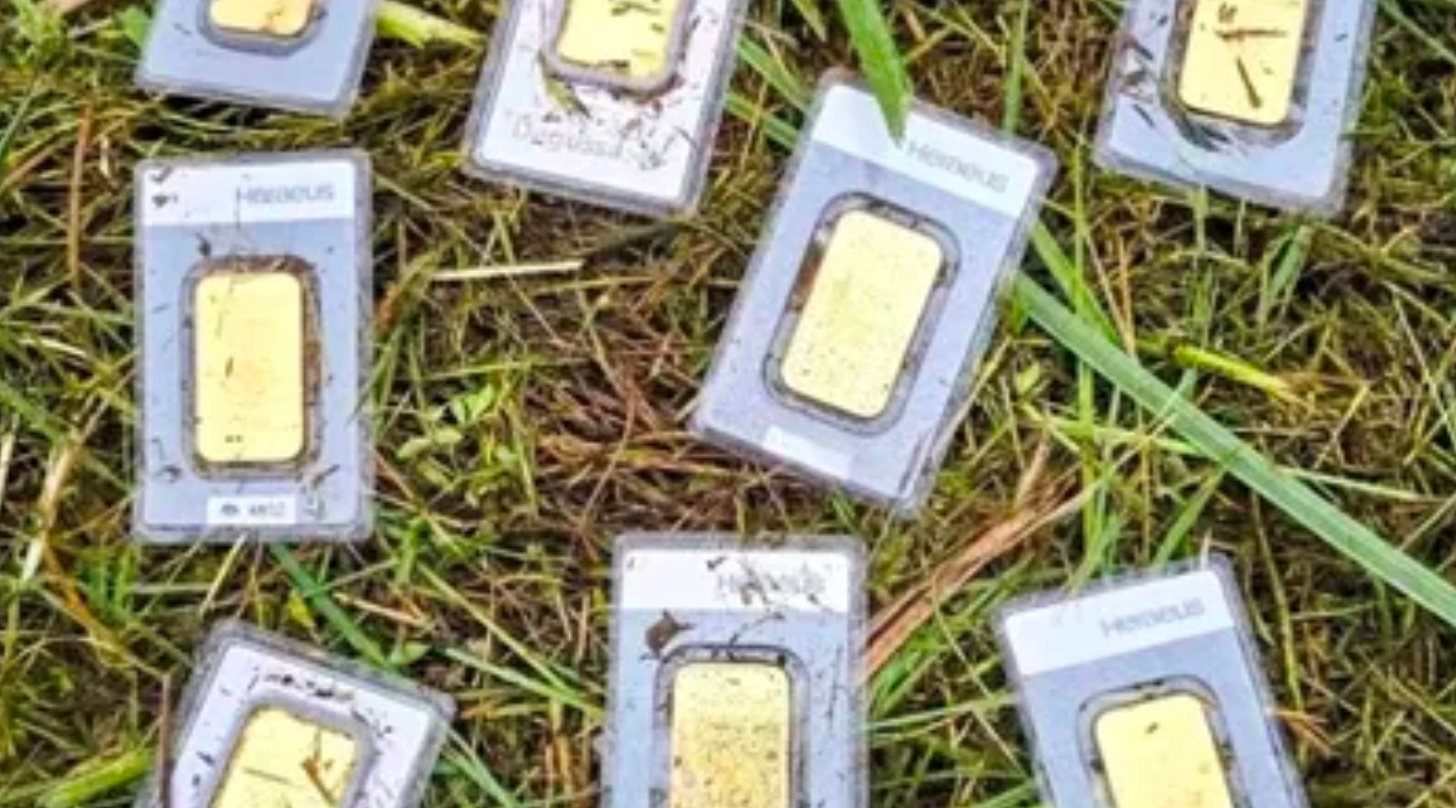 Phát hiện 10 thỏi vàng khi đang cắt cỏ, trị giá lên đến hơn 1 tỷ đồng - Ảnh 1