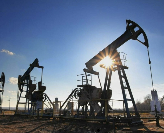 Tập đoàn khổng lồ Reliance của Ấn Độ đã từ bỏ dầu Nga - Ảnh 8