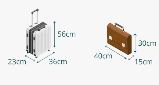 Cục Hàng không yêu cầu rà soát quy trình kiểm tra hành lý xách tay - Ảnh 1