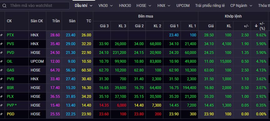 Loạt cổ phiếu dầu khí “bứt tốc” mạnh mẽ, điều gì đang diễn ra? - Ảnh 1