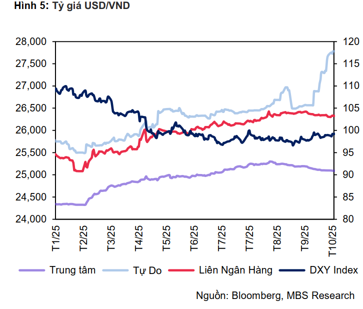 Tỷ giá USD chợ đen tăng hơn 8% từ đầu năm, riêng tháng 10 tăng 4,7% - Ảnh 2