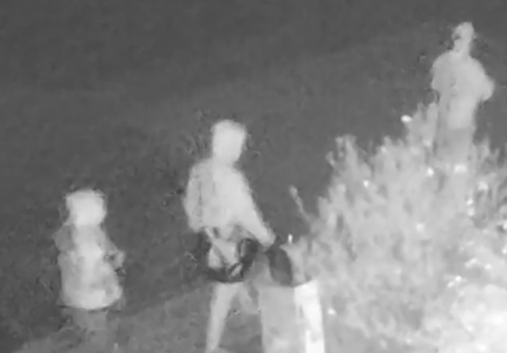 Bị ép hít đất 500 cái để nhận lương, nhân viên sát hại CEO - Ảnh 2