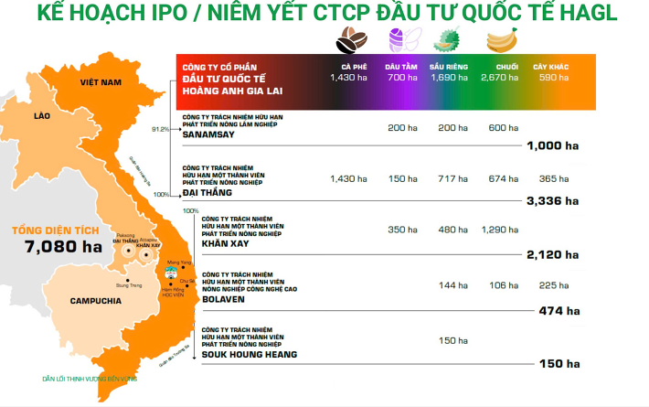 Phần tài sản giá trị nhất của HAGL bất ngờ tập trung vào đơn vị “chỉ để làm thương mại”, phía sau là lý do chưa thể tiết lộ của Bầu Đức - Ảnh 1