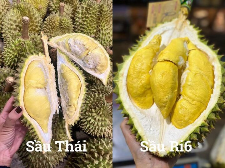 So sánh sầu Thái và sầu Ri6, loại nào ngọt và béo hơn? - Ảnh 1