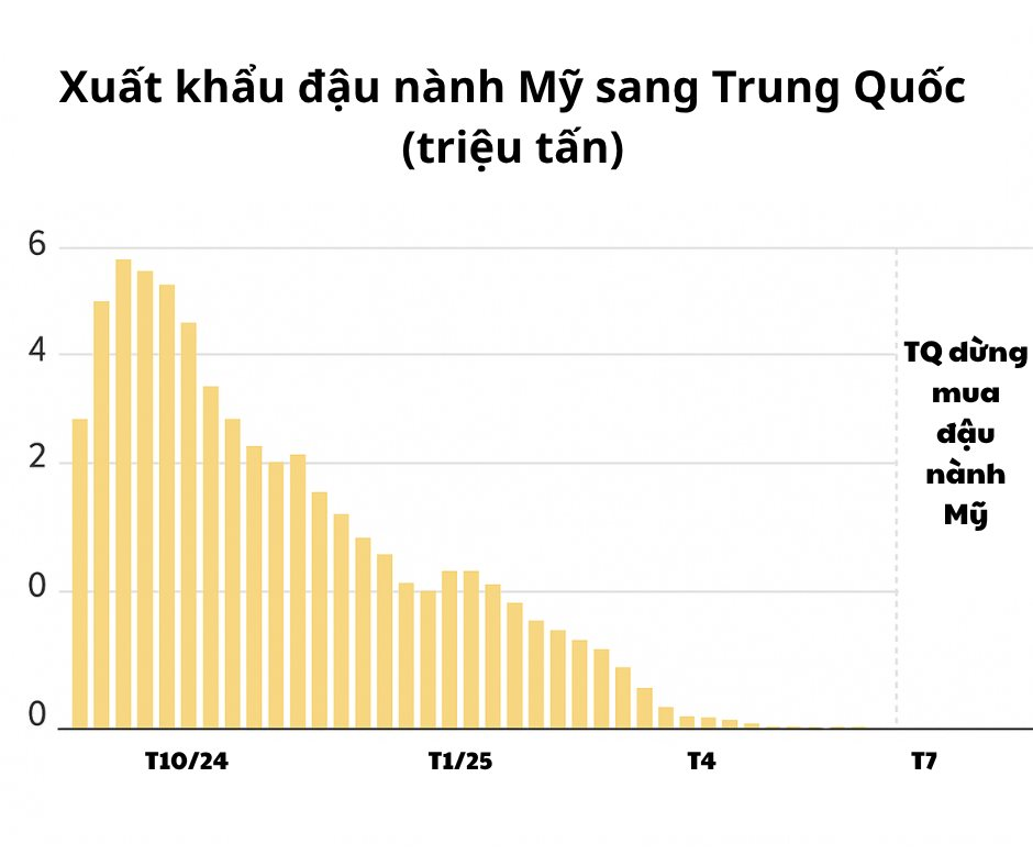 Dày công ‘luyện võ’ 7 năm, Trung Quốc sử dụng chính đòn thương mại của Mỹ để ‘chiến’ với Washington, khiến nền kinh tế lớn nhất thế giới lâm cảnh gậy ông đập lưng ông - Ảnh 4