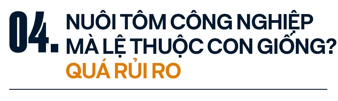 'Vua tôm giống' Lương Thanh Văn và 'vũ khí' công nghệ rút ngắn 30 ngày nuôi, tham vọng đưa tôm Việt cạnh tranh với Ecuador, Ấn Độ - Ảnh 6