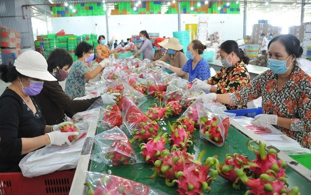 Quy định mới về truy xuất sản phẩm của Trung Quốc tác động gì tới hàng Việt? - Ảnh 2