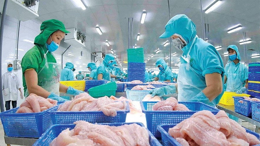 Xuất khẩu thủy sản sang Mỹ biến động do ‘ngấm’ thuế đối ứng - Ảnh 1