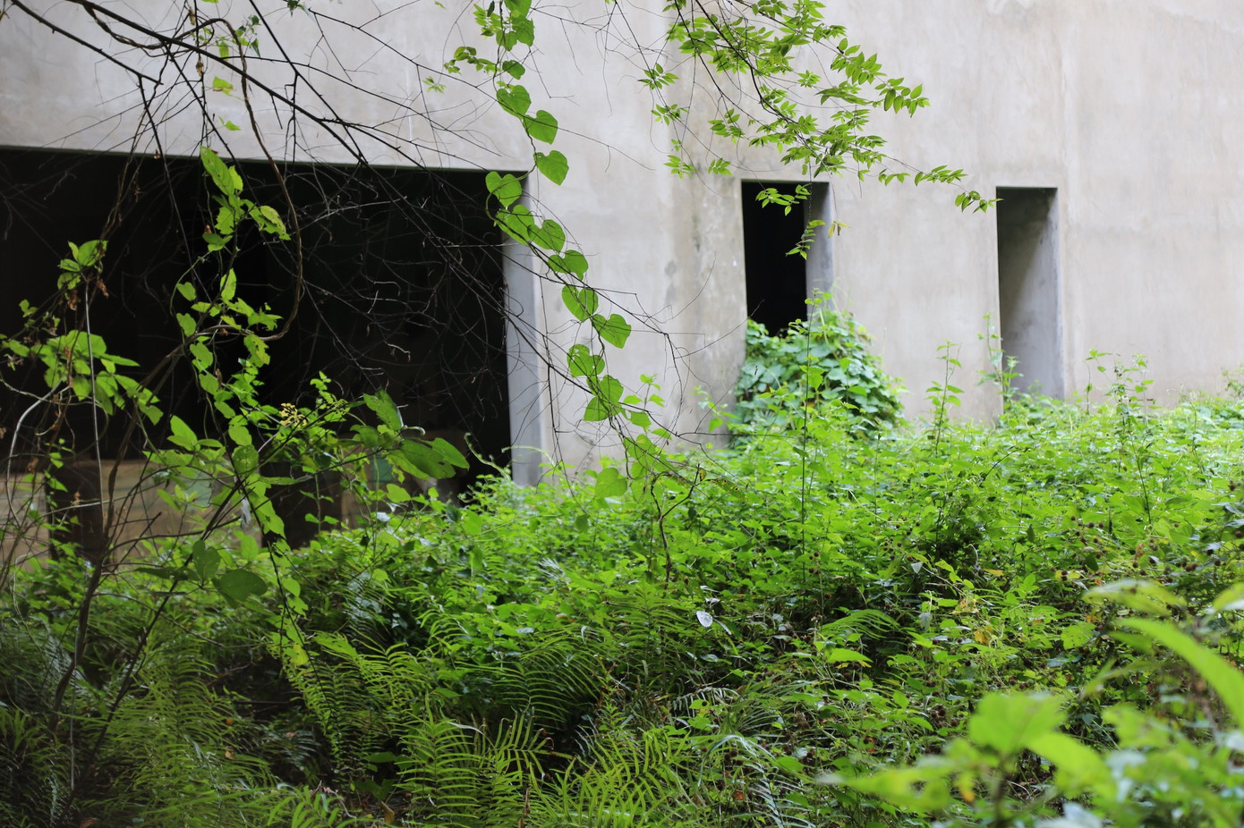 Tận thấy dự án nghìn tỷ thi công kiểu 'rùa bò' ở Cần Thơ - Ảnh 3