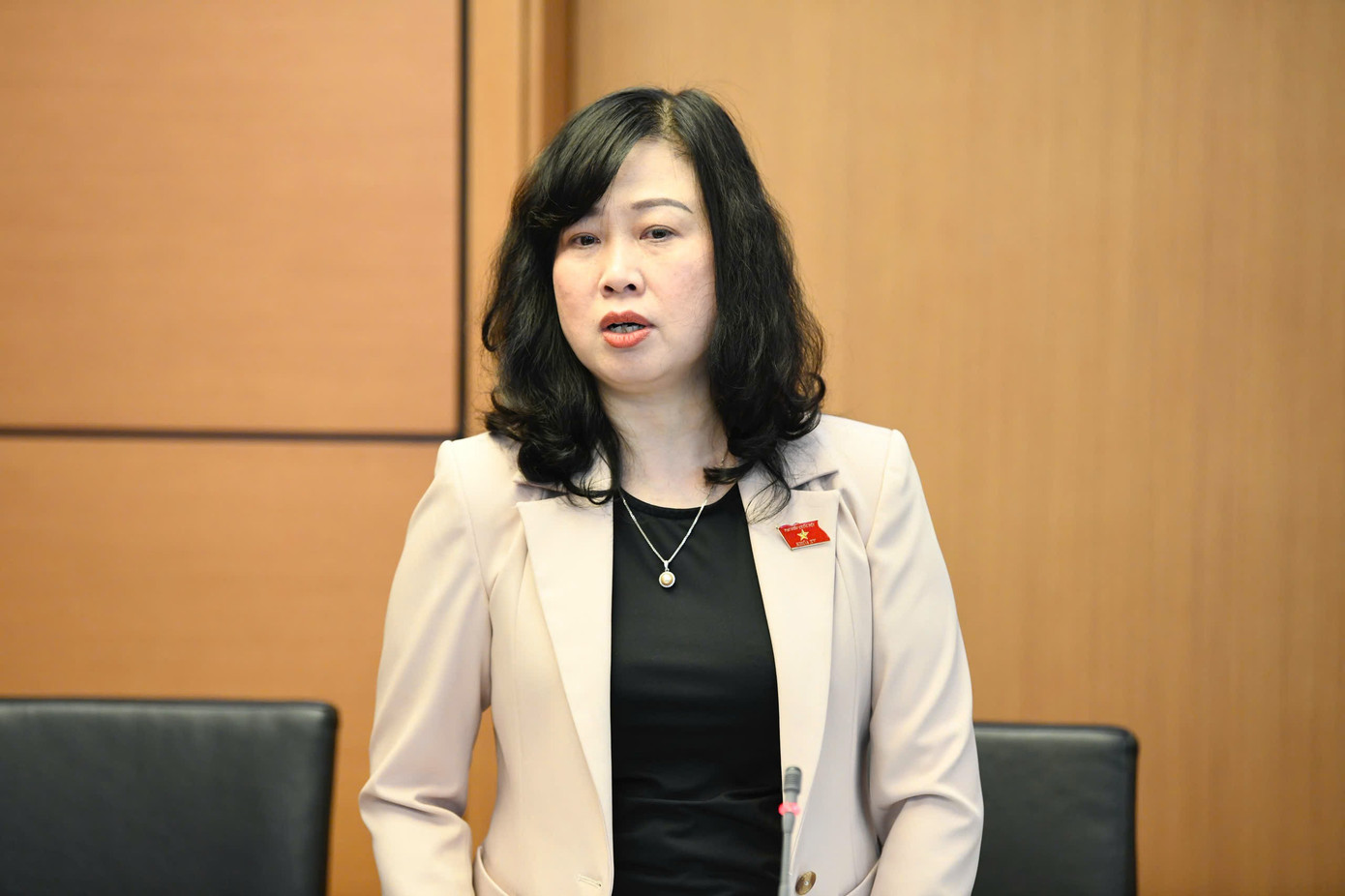 Sẽ có những giải pháp để hỗ trợ các cặp vợ chồng sinh đủ hai con - Ảnh 1