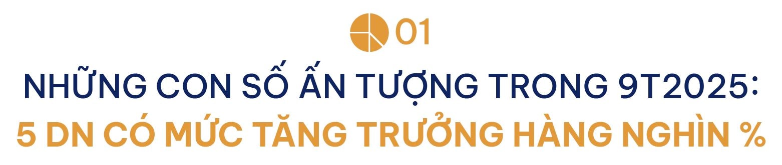 Nhận diện những 'đầu tàu' bứt phá trong bức tranh kết quả kinh doanh 9 tháng đầu năm 2025 - Ảnh 1