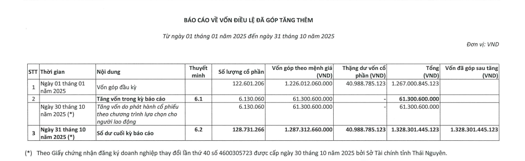 TNG tăng vốn điều lệ lên hơn 1.300 tỷ đồng - Ảnh 1