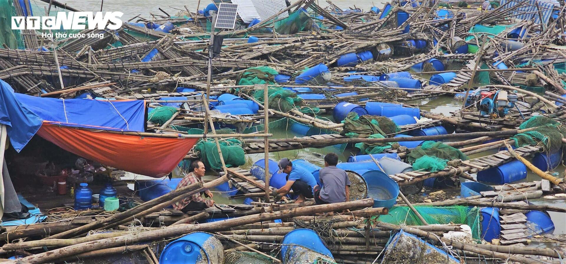 Bán tôm hùm 150.000 đồng/kg sau lũ dữ, người dân Đắk Lắk trắng tay - Ảnh 2
