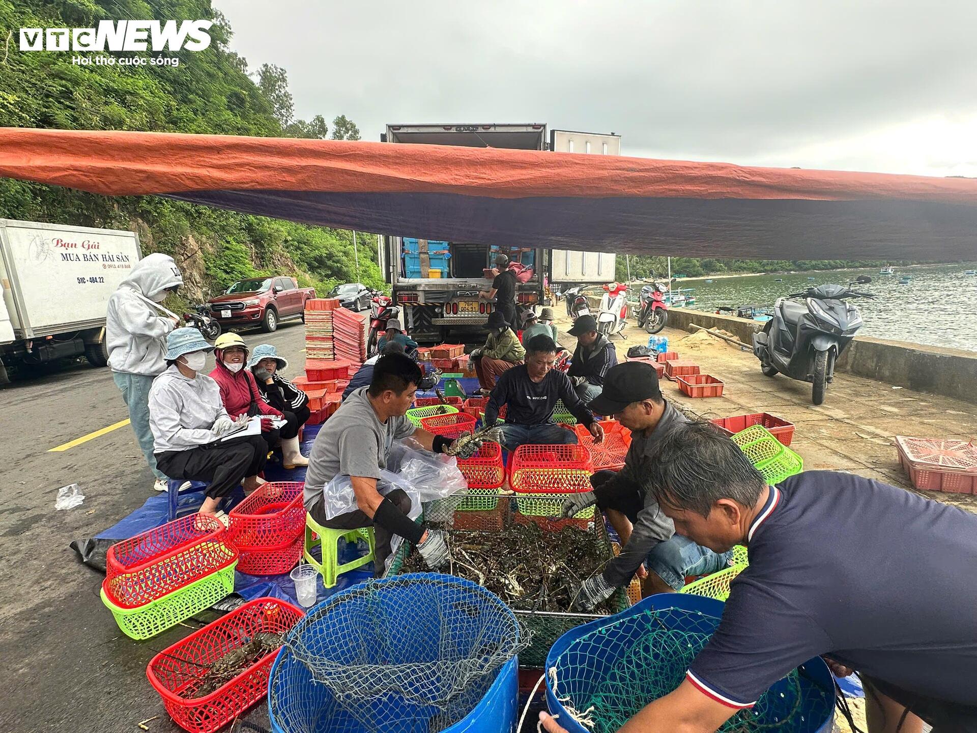 Giá tôm hùm tại Đắk Lắk giảm trước bão số 13 Kalmaegi - Ảnh 2