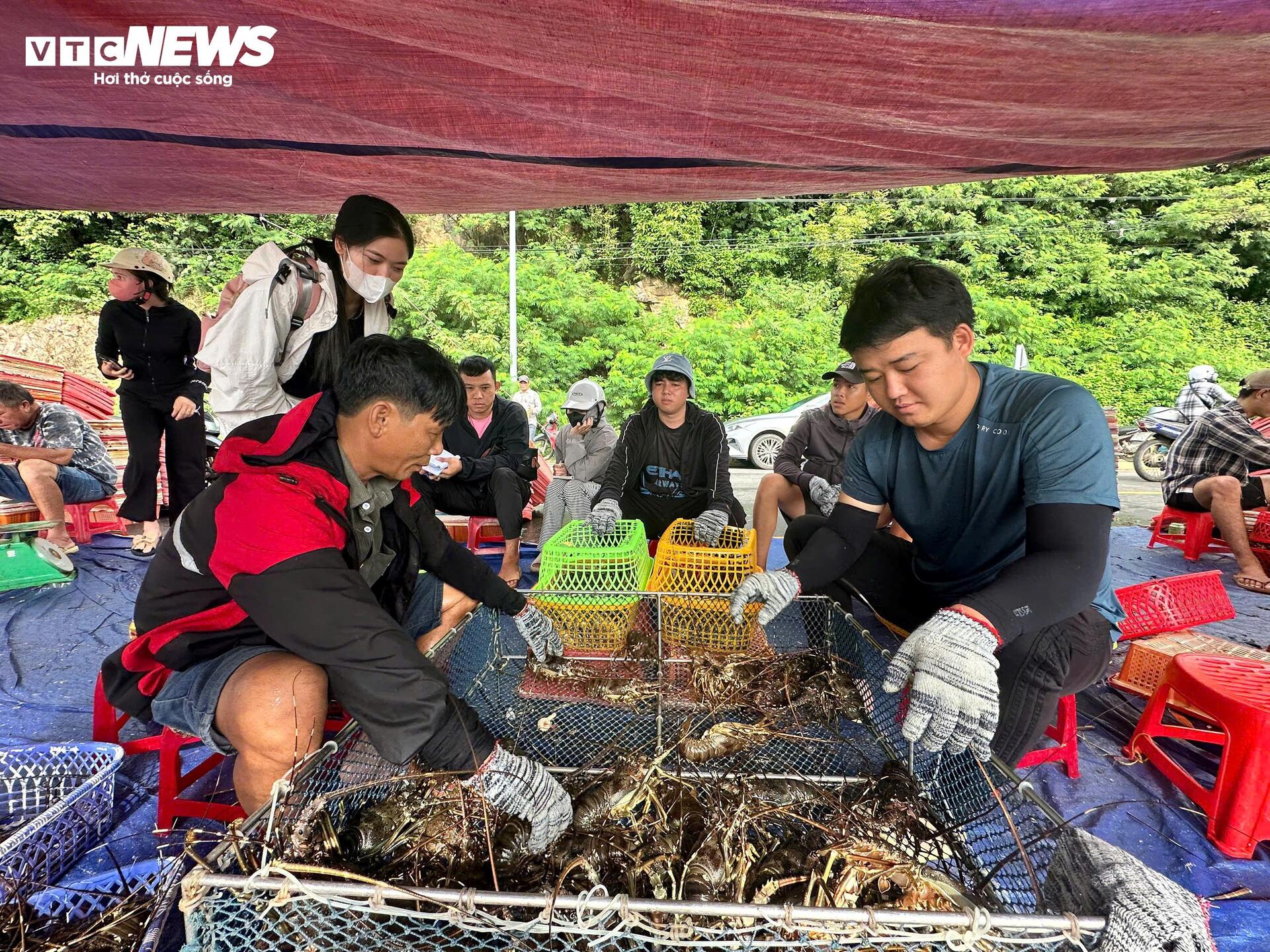 Giá tôm hùm tại Đắk Lắk giảm trước bão số 13 Kalmaegi - Ảnh 4