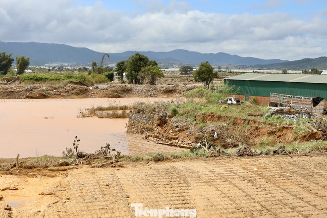 Tan hoang thủ phủ rau Lâm Đồng - Ảnh 1