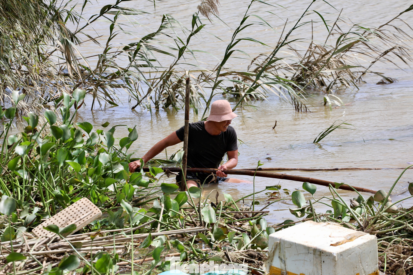 Tan hoang thủ phủ rau Lâm Đồng - Ảnh 31