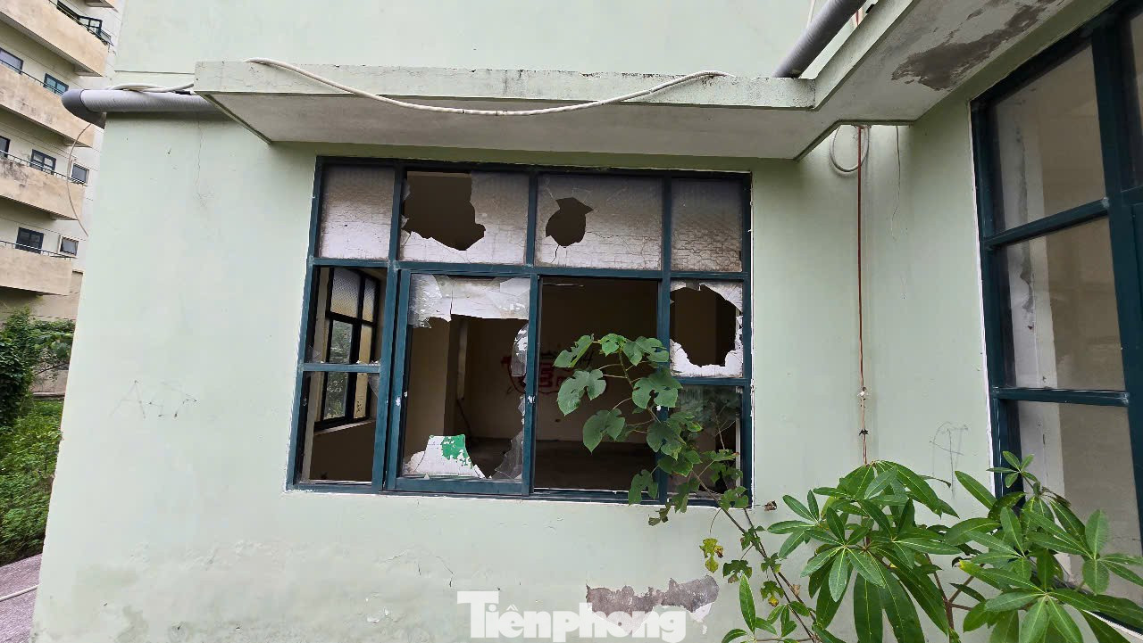 Cảnh lạnh lẽo, lãng phí khu 7 tòa nhà tái định cư bỏ hoang ở Hà Nội - Ảnh 5