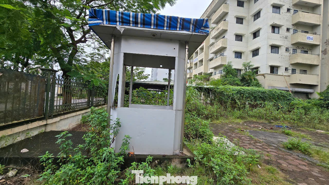 Cảnh lạnh lẽo, lãng phí khu 7 tòa nhà tái định cư bỏ hoang ở Hà Nội - Ảnh 8