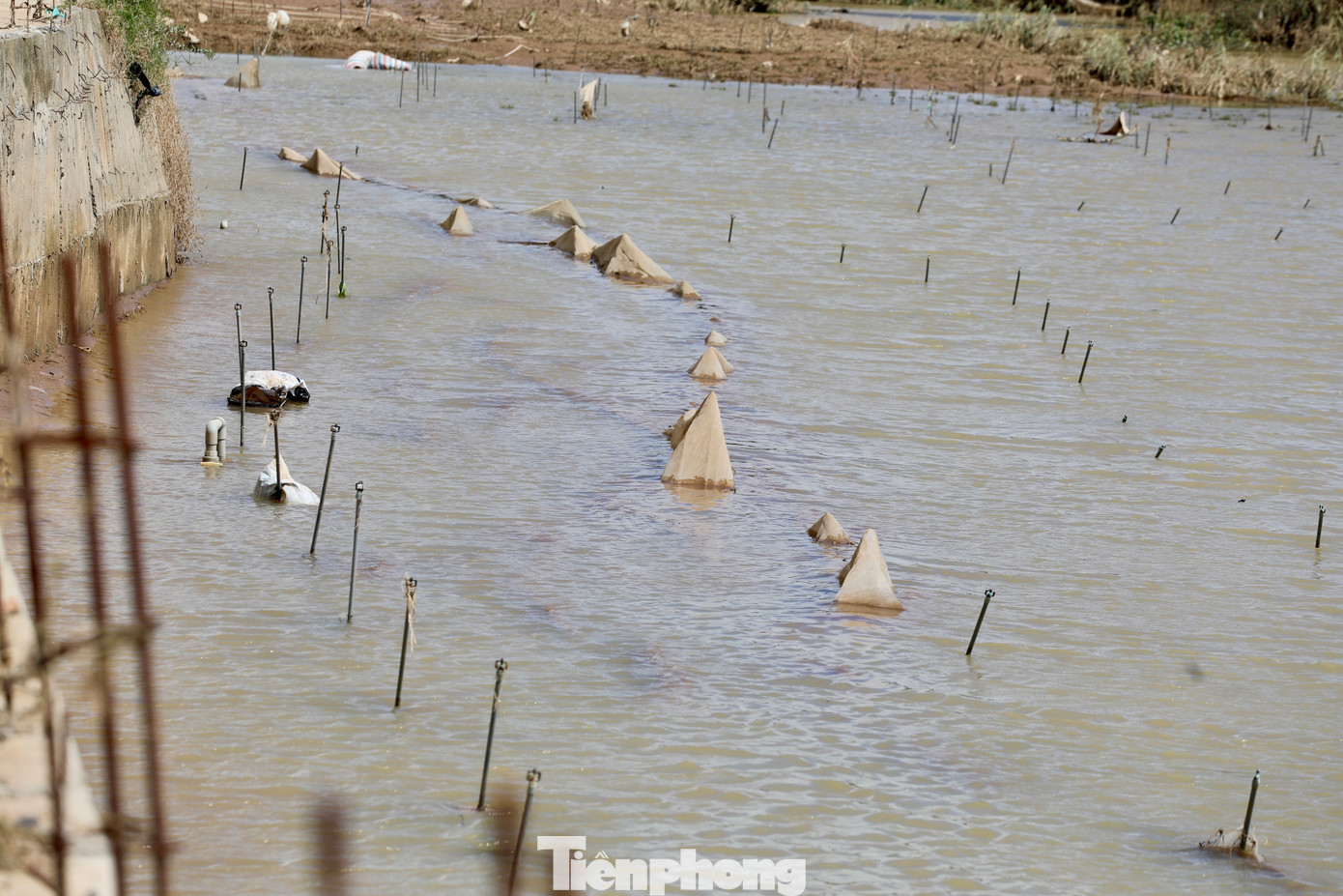 Tan hoang thủ phủ rau Lâm Đồng - Ảnh 22