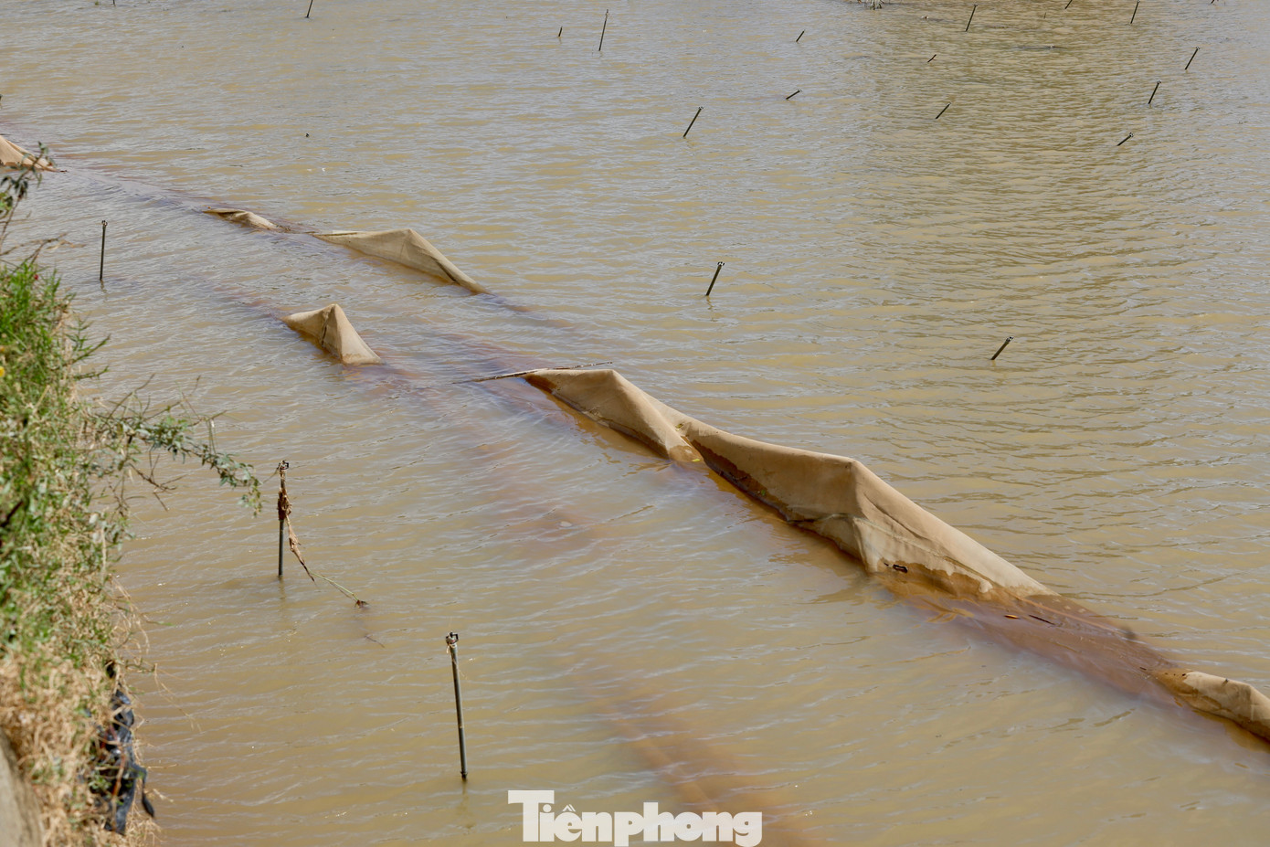 Tan hoang thủ phủ rau Lâm Đồng - Ảnh 23