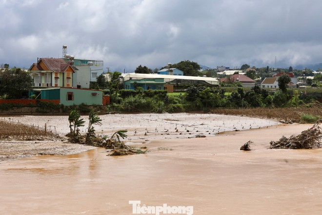 Tan hoang thủ phủ rau Lâm Đồng - Ảnh 3
