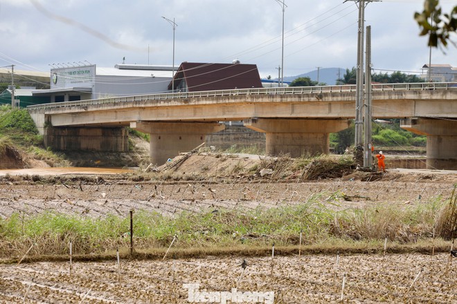 Tan hoang thủ phủ rau Lâm Đồng - Ảnh 4
