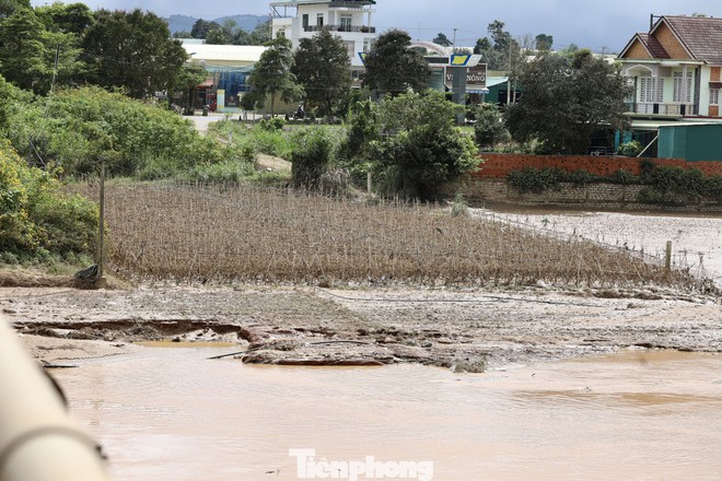 Tan hoang thủ phủ rau Lâm Đồng - Ảnh 16