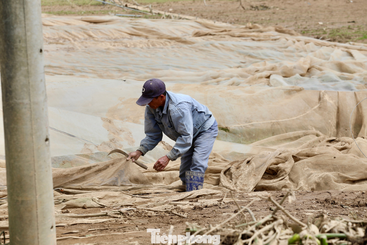 Tan hoang thủ phủ rau Lâm Đồng - Ảnh 30