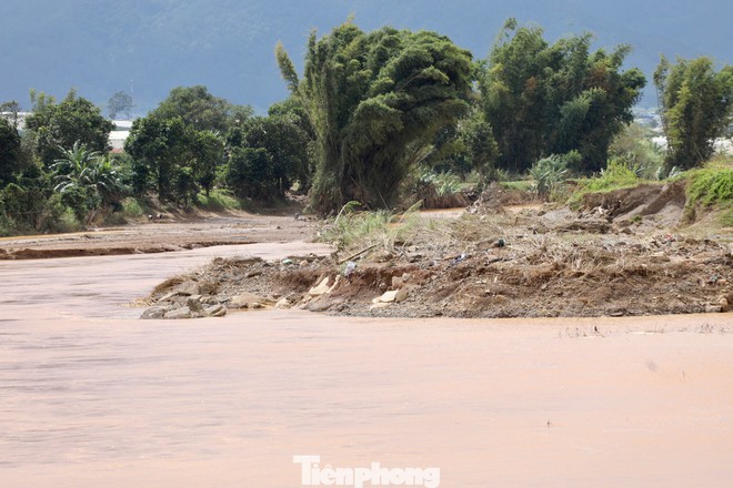 Tan hoang thủ phủ rau Lâm Đồng - Ảnh 2