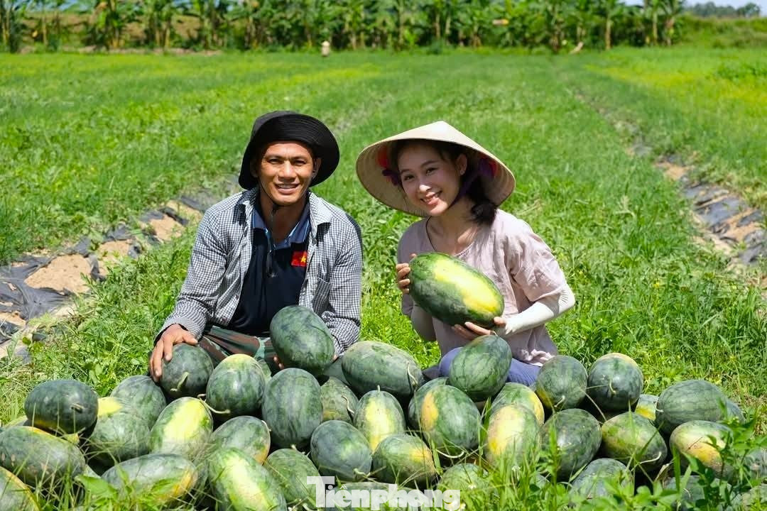 Khởi nghiệp trồng giống dưa lạ, livestream giữa ruộng 'chốt đơn mỏi tay' - Ảnh 4