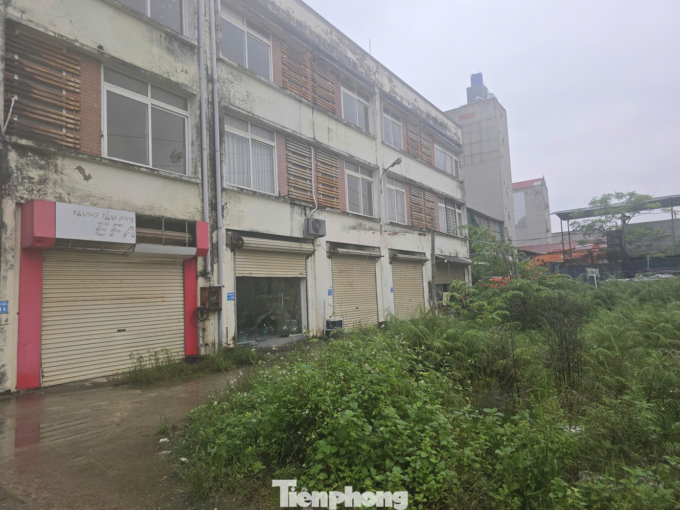 Hà Nội: Khu chợ 'đắp chiếu' 11 năm được đề xuất chuyển đổi thành nhà ở xã hội - Ảnh 1