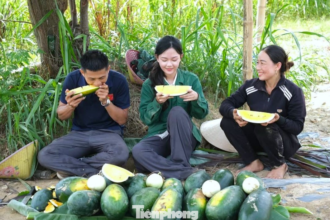 Khởi nghiệp trồng giống dưa lạ, livestream giữa ruộng 'chốt đơn mỏi tay' - Ảnh 5