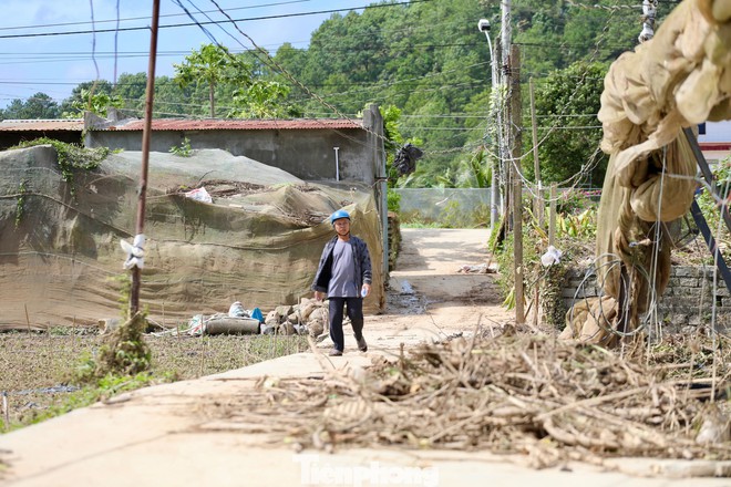 Tan hoang thủ phủ rau Lâm Đồng - Ảnh 10